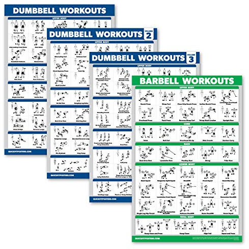 Palace Learning 4 Pack - Dumbbell Workout Posters Volume 1, 2 & 3 + Barbell Exercise Chart - Set of 4 Posters (LAMINATED, 18 x 24)