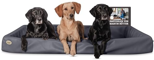 SABRO KUDDE Orthopädisches Hundebett – Martin Rütter – Hochwertiges Kunstleder – Waschbar & Wasserabweisend – Ergonomisch – Premium Haustierzubehör für Grosse Hunde in Grau
