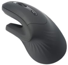 Souris Ergonomique WE, 2-en-1 Connexion BT + 2.4GHz, 5 Boutons et 1 molette DPI 800-1200-1600 Noire, 1 Pile AA Inclus