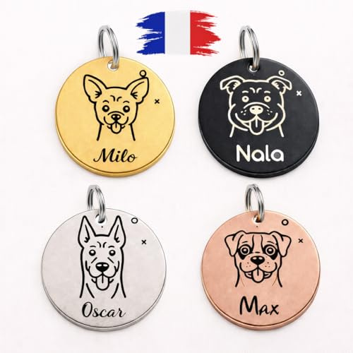 Médaille Chien Personnalisée en Acier Inoxydable – Gravure Nom & Adresse – Plaque d’Identification pour Chien -Plusieurs races de chiens au choix – 4 Couleurs, Tailles S/M/L