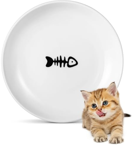 Ceramic Cat Food Plates: Whisker Fatigue Cat Dishes & Shallow Bowls for Kittens and Small Animals