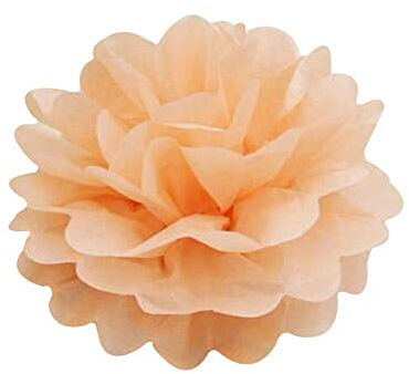 Anevous 30 Stück Deko Seidenpapier Pompons, Dekorpapier Pompoms, Papier Blumen Ball, Pom Poms Dekoration Blumenball für Hochzeit Brautparty Geburtstag Party Karneval,Champagner