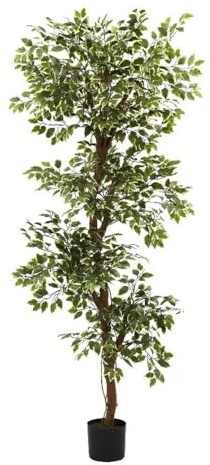 Nearly Natural 6ft. Variegated Ficus Tree