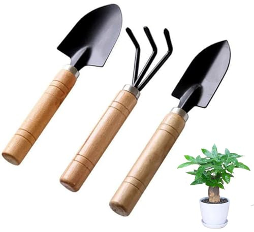 Mini set di attrezzi manuali da giardinaggio, 3 pezzi, piccola cazzuola da giardino, mini pala, rastrello a mano, set di attrezzi per piante da interno