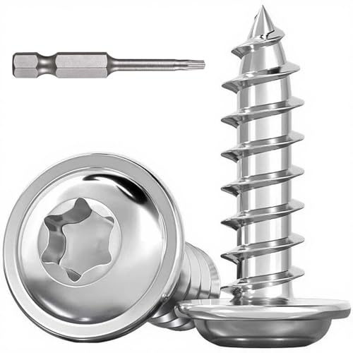 Dayalo 30 Stück Blechschrauben Torx M5 x 10mm, Blechschrauben Edelstahl A2 V2A, Linsenkopfschrauben Holz, Selbstschneidende Schrauben mit Scheibe, mit Schraubendreher Bit, Vollgewinde