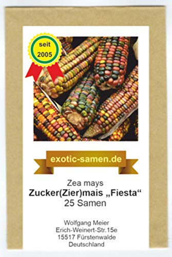 Mais - Zuckermais - Ziermais - Indianermais - Fiesta - samenfeste Sorte - 25 Samen
