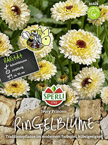 Sperli 86428 Ringelblume Ivory Princess (Ringelblumensamen)