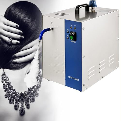 Máquina Limpiadora De Vapor De Joyería, Limpiador De Vapor De Alta Presión, Máquina De Vapor Multiusos, Máquina Limpiadora De Vapor Profesional De Gemas De Acero Inoxidable,4L-110V