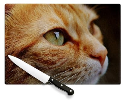 Planche à Découper en Verre Trempé - Joli Chat Roux Europeen Fixe du Regard Mignon Yeux Verts - Protection Plan de Travail et Dessous de Plat Résistant Chaleur 2 Tailles Imprimé en France