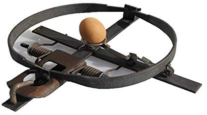 TRAPGALLIER piège à Oeuf de 25cm spécial fouines