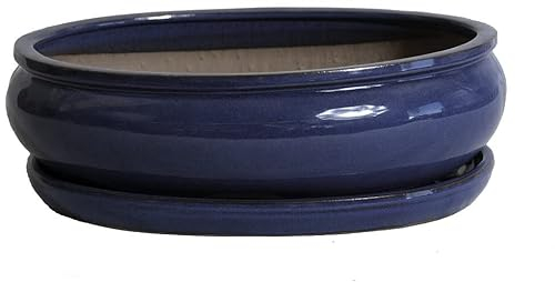 Garden Center shop by VM Tiesto DE CERÁMICA Ovalado BONSÁI VITRIFICADO Rhea 26X21X8CM Plato Incluido (Azul)