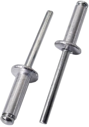 SKIR'CO 100 remaches ciegos de aluminio de 6 x 20 mm, mandril de acero, remaches pop, cabeza de cúpula, remaches DIN 7337