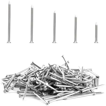 Set di 300 chiodi in acciaio, per cartongesso e pino, per appendere immagini e lavorazione del legno, 5 misure