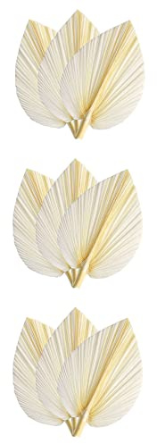 Janasiba Hojas de palma secas blancas grandes - Calidad Premium - 9 Piezas Elegante Boho Decoración Hogar y Boda - Arte de Pared