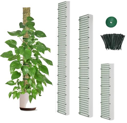Moosstab für Monstera, 3 Stück 40+60+100cm Moosstab D Form Rankhilfe Kletterpflanzen Zimmerpflanzen mit Kabelbinder, Monstera Rankhilfe für Zimmerpflanzen, Kletterpflanzen