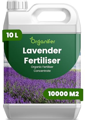 Fertilizzante liquido organico 10L per lavanda – vitalità e fioritura duratura – Organifer
