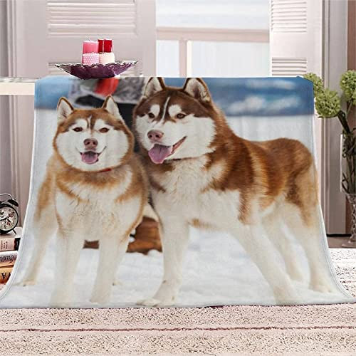 Boceoey Kuscheldecke Flauschig Decke Sofa Flanell Fleecedecke, Weich Warme Decken als Sofadecke Wohndecke Couchdecke Tagesdecke, Leichte Decke 150x200 cm Heiser