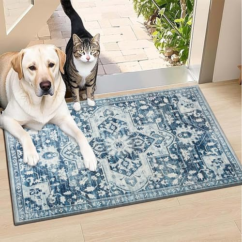 BedLooms Washable Door Mats Indoor & Outdoor - Non-Slippery Heavy Duty Front Door Mat - Stylish & Perfect Dust Grabbing Doormats - Super Absorbent Entrance Mat (Tranquil, 40cm x 60cm)