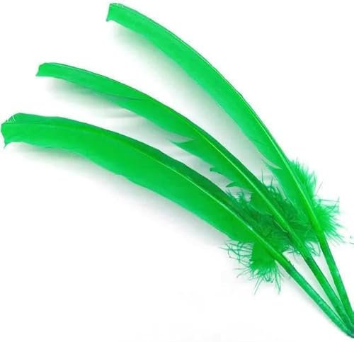 100 Stück Truthahnfedern, Weihnachtsfeier, Kleid, Dekoration, Zubehör, Fasanenfedern, Tischdekoration, 25–30 cm, grasgrüne Federn, 100 Stück