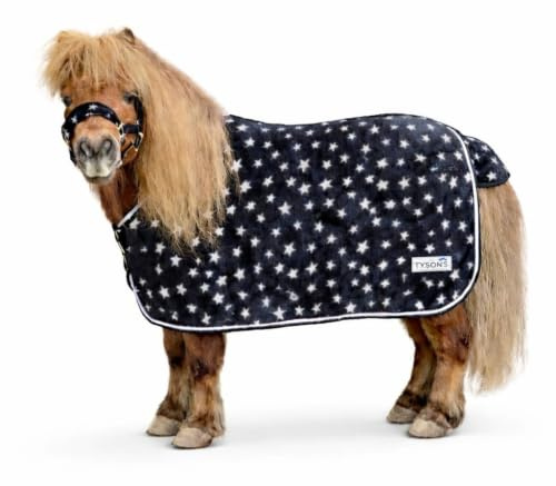 Abschwitzdecke Set Glori Set Decke mit Halfter Nicky Fleece Schwarz Sterne 65 70 75 80 85 90 95 100 cm Minishetty Shetty (65 cm)