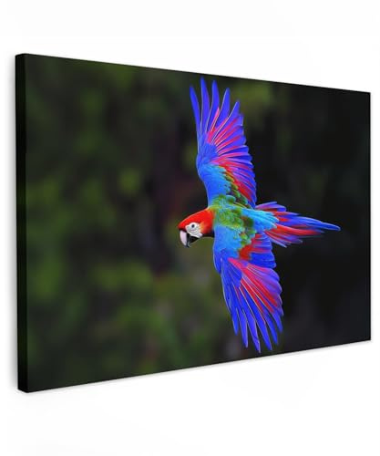 MuchoWow© Cuadros Decoracion Salon Modernos Dormitorios Cuadro Decorativos | 120x80 cm - de Lienzos Decorativo Decoración Cabecero Cama Brillante - Guacamayo - Naturaleza - Vuelo