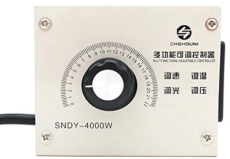 DollaTek Regulador de voltaje variable compacto Regulador de voltaje ajustable de temperatura de velocidad de luz portátil