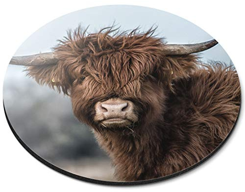 Destination Vinyl Ltd Fluffy Brown Highland Cow Scotland - Flexible Round 5mm Rubber Mouse Mat Pad Office Home Novelty Printed Desk Accessory 16296