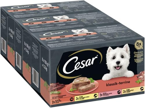 Cesar ClassicTerrine Dog Food Wet - Mixed Selection in Jelly, 8x150g (Pack of 3)
