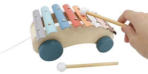Green Rhino Auto Xylophon aus Holz für Kinder - Spielerisches Lernspiel zur Förderung von Koordination und Farberkennung - Nachhaltig verpackt