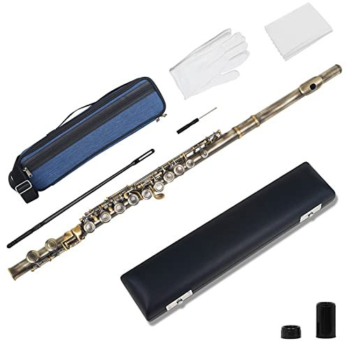 TSTS 16-Loch-C-Key-Flöteninstrument Mit Koffer, Rucksack, Reinigungsstäbchen, Wischhandschuhen, Flötenzubehör Einsteiger Querflöten (Color : 01)