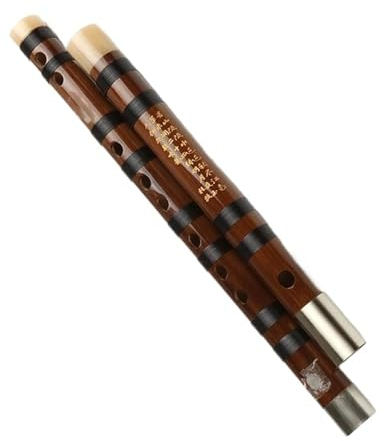 Handgefertigtes Bambusflöten-Musikinstrument, Professionelles Dizi Mit Linie, Geeignet Für Anfänger Und Anfänger (Color : E)