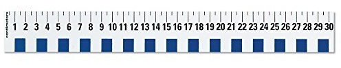 hand2mind 12 inch Flexible Safe-T Plastic Beginner Rulers, Set of 12
