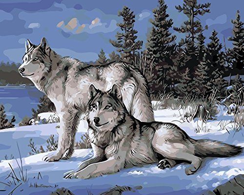 WOWDECOR DIY Malen nach Zahlen für Erwachsene Kinder Mädchen, Zwei Schneewolf Tiere Schneeszene 40x50cm Vorgedruckt Leinwand-Ölgemälde (ohne Rahmen)