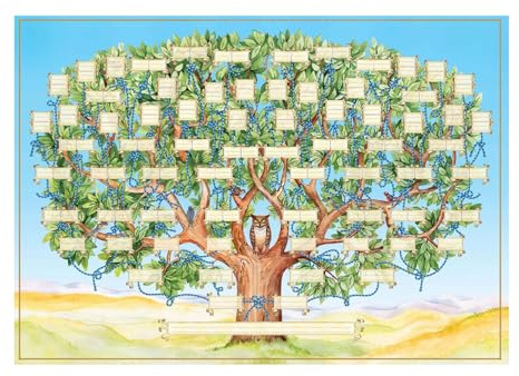 Tableaux Généalogiques À Remplir - Décoration Murale Arbre Généalogique,Idée Cadeau pour Parents Grands-parents Ados Amis