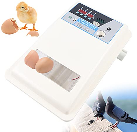 Brutmaschine Vollautomatisch 24Egg Inkubator Eierbrutmaschine Geflügelbrutautomat Automatisches Wenden der Eier und Feuchtigkeitskontrolle Vogelhuhn Entenbrüterei für Hühner Enten Gänse Vögel