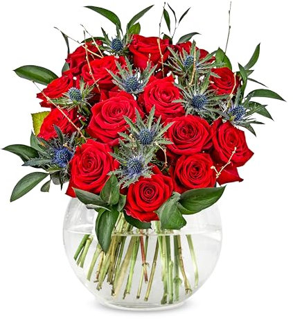 Luxury Red Roses - Fresh Flowers - Birthday, Anniversary, Get Well, Thank You, Occasion Flower - Cut Floral Arrangement for Home Décor, Gifts, Weddings, Sympathy, Celebrations, and Special Events
