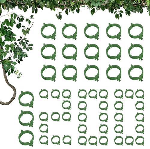 Pflanzenclips, Clips für Kletterpflanzen, 200 Stück, kleine Weinreben-Clips für den Garten, Wiederverwendbare Clips für den Garten von Kletterpflanzen, Befestigungsclip für