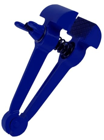 Cabilock Étau à Main en Acier à Graphite Sphéroïdal Portable Surface Traitée en Plastique, Pince Fixe Professionnelle pour Atelier, Facile à Utiliser, 25 Mm