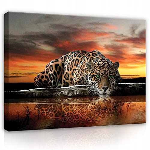 WallArena Bilder Tiger Tiere 100x75 cm | Leinwandbild Modern Canvas Groß XXL Schlafzimmer Wohnzimmer Küche Flur Wandbild Kunstdruck Wandbilder Wand Bild auf Leinwand