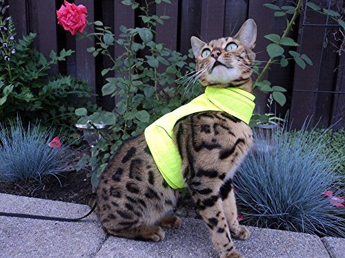 Mynwood Cat Jacke/Geschirre graue Leopard Pelz Erwachsene Katze ausbruchsicher