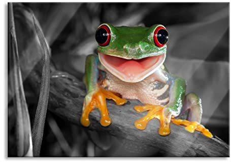 Pixxprint Glasbild, Wandbild aus Echtglas, Lachender Frosch mit roten Augen auf Ast B&W Detail, 60x40 cm, inkl. Aufhängung und Abstandshalter