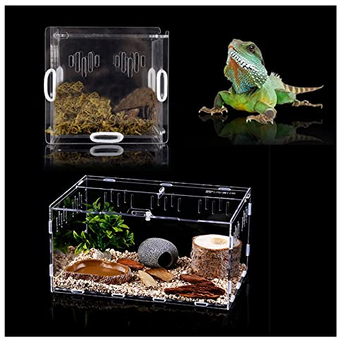 Reptilien-Futter-Terrarium-Box, Schildkröten-Eidechsen-Futterbox, transparenter Reptilien-Futterspender, Desktop-Sicherheit, atmungsaktiver Acryl-Futterspender,