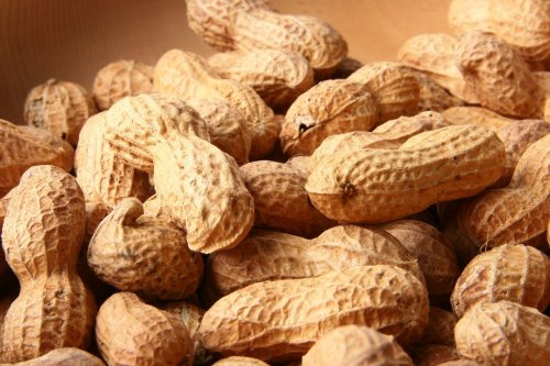 Seedeo® Erdnuss (Arachis hypogaea) 10 Samen