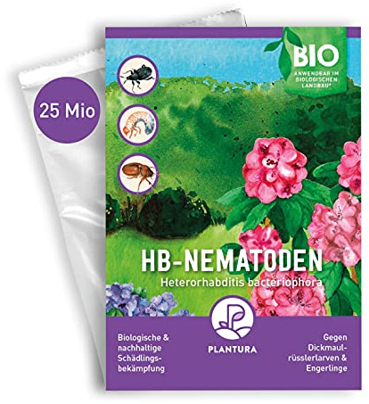 Plantura HB-Nematoden gegen Dickmaulrüssler & Engerlinge, Nützlinge, 25 Mio für 50 m² Insekten