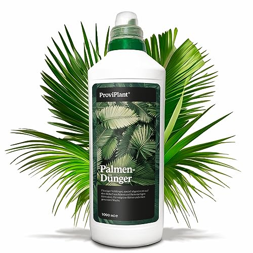 ProviPlant Palmen Flüssigdünger – Für Zimmerpalmen & Gartenpalmen – 1 Liter Konzentrat für bis zu 200 Liter Gießwasser – Indoor & Outdoor – Made in Germany