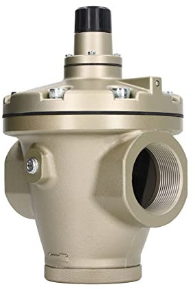 YWBL-WH Valvola di Riduzione dell'aria Compressa, Materiale HNBR, Ingresso e Uscita DN50, Finitura Fine, Regolazione del Vuoto, Lega di Alluminio, per Compressori d'aria, Essiccatori, Filtri