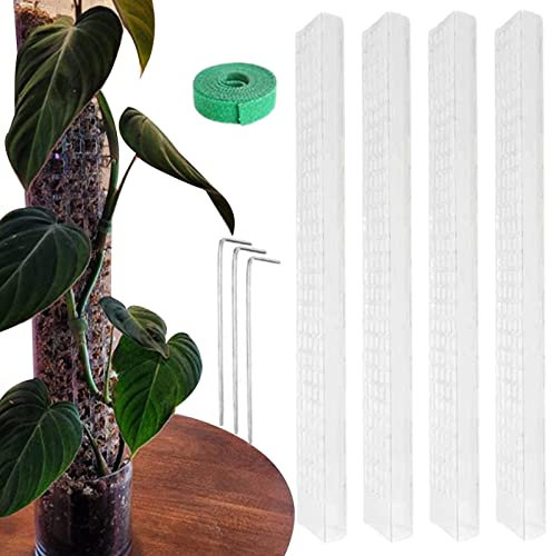 Monstera Monstera Tuteur en plastique pour plantes Monstera Monstera Tuteur en plastique pour plantes Monstera