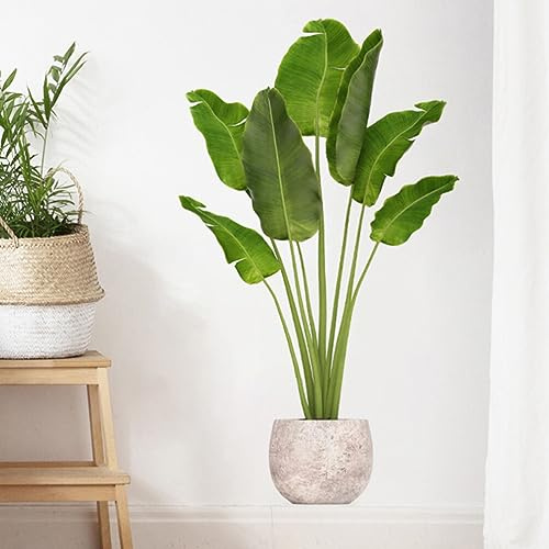 OSALADI 1 Satz Wandtattoo Topfpflanze Wandaufkleber Mit Bonsai-pflanzen Wandtattoos Mit Frischen Pflanzen Wandaufkleber Mit Grünen Blättern Wandtattoo Kinderzimmer Monstera 3d Pvc Anlage