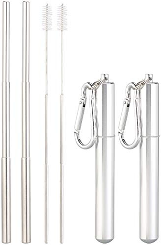 Rosenstein & Söhne Teleskop Strohhalm: 2er-Set Teleskop-Edelstahl-Trinkhalme mit Bürste, Schlüsselanhängerbox (Ausziehbarer Strohhalm, Metalltrinkhalme, Eis)