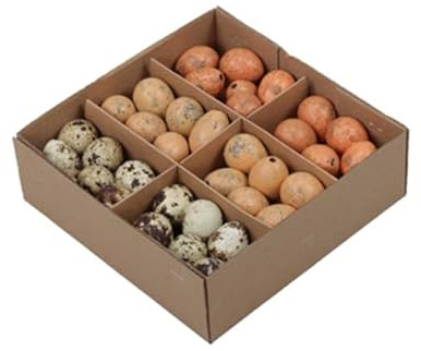 RiloStore 72 STK Wachteleier Natur Grau orange apricot Braun Mix ausgeblasen Naturdeko Landhaus Osterschmuck Basteln Kindergarten Ostern Deko Eier Wachteln Dekoeier Osterdeko